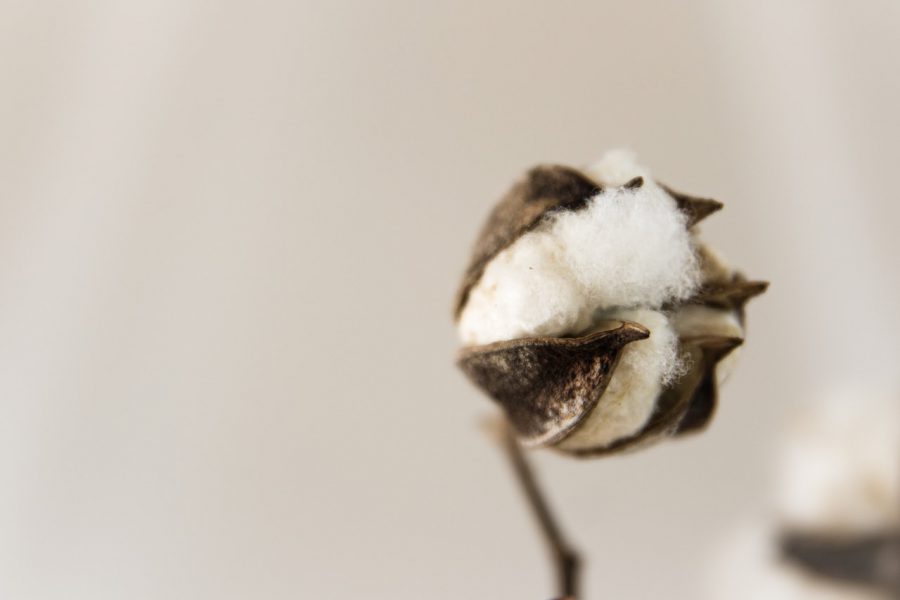 Ekologiczna moda – czy to możliwe? Jak ubierać się eco-friendly?